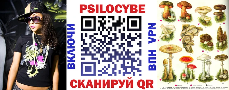 Псилоцибиновые грибы мицелий omg маркетплейс Красноармейск